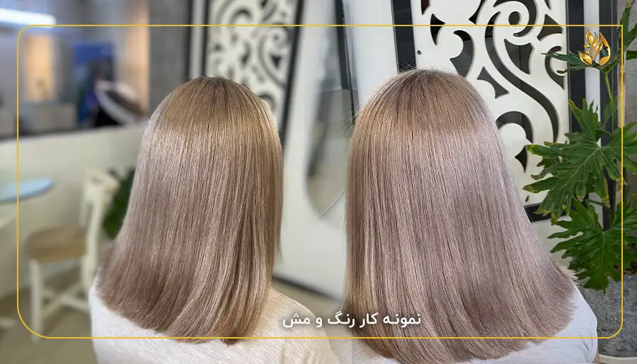 نمونه کار رنگ و مش2