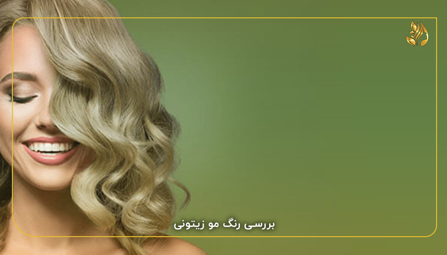 رنگ موی دودی زیتونی نقره ای