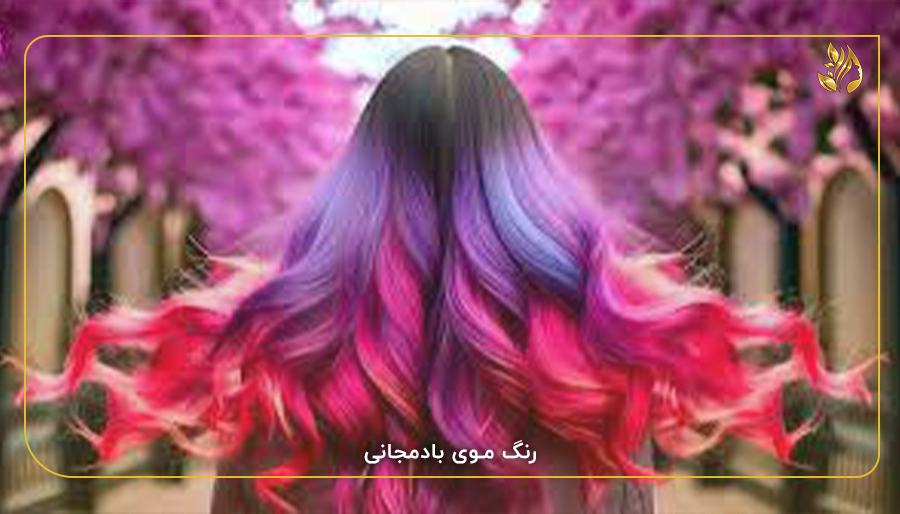 رنگ موی بادمجانی
